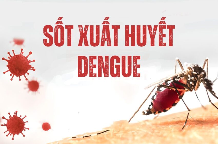 Quận Ba Đình: Tăng cường, chủ động triển khai công tác phòng, chống dịch